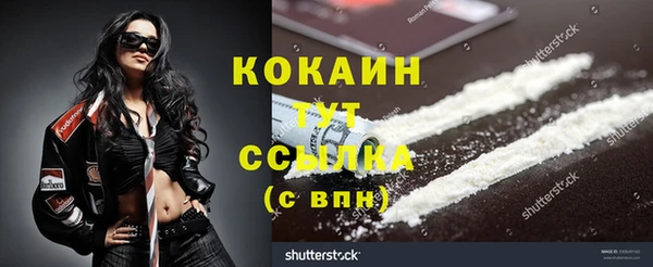 spice Аркадак