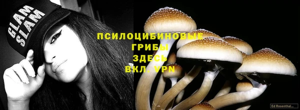 трава Арсеньев