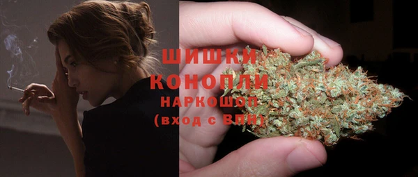 spice Аркадак