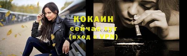 трава Арсеньев