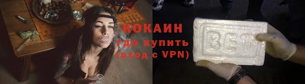трава Арсеньев