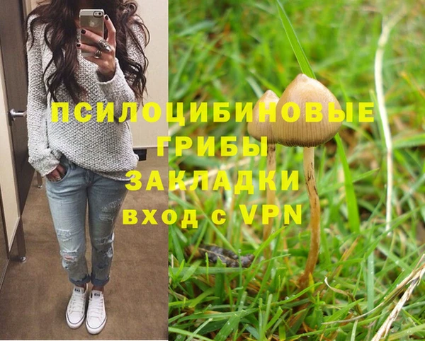 гидра Армянск