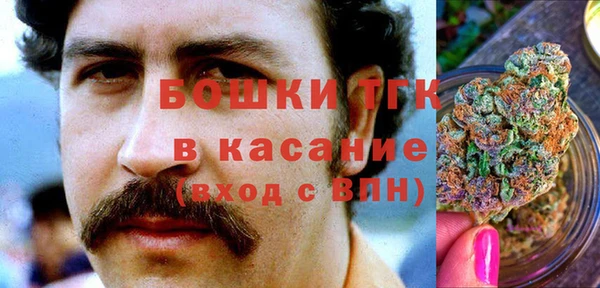 трава Арсеньев