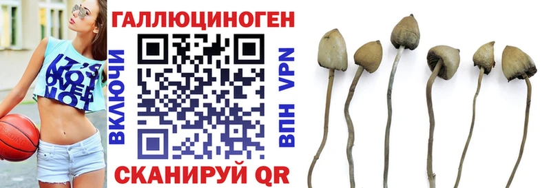 Псилоцибиновые грибы GOLDEN TEACHER сколько стоит Курганинск