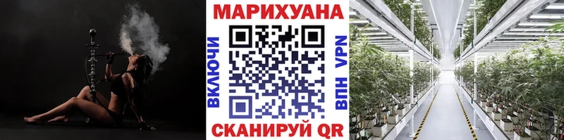 Канабис планчик  купить закладку  OMG как зайти  Курганинск 